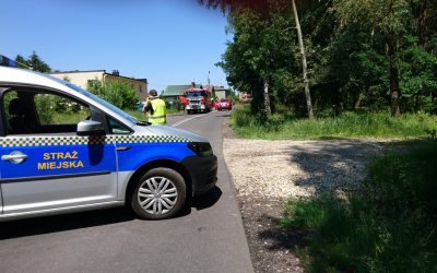 Wspólne ćwiczenia z Państwową Strażą Pożarną