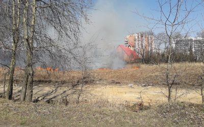 Niebezpieczny pożar traw w rejonie kąpieliska