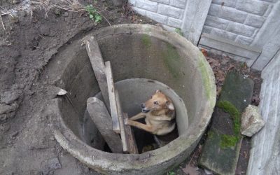 Z służbowego notatnika strażnika…