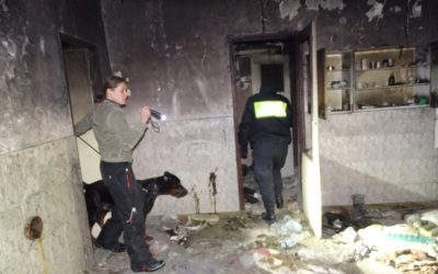 Mysłowicko -Słowacka współpraca