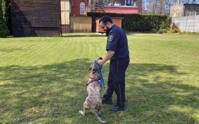 HERMAN naszym nowym strażnikiem