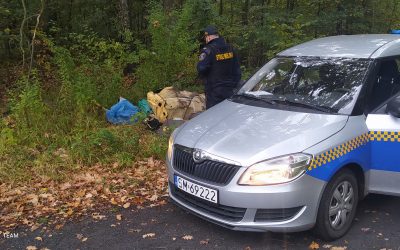 Zaśmiecony teren leśny przy ul. Mikołowskiej
