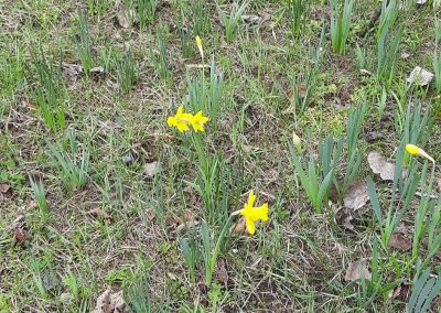 received_745319357046800