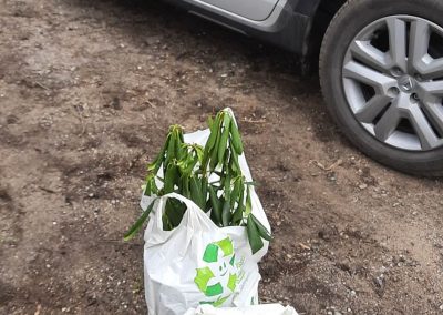 received_997892261180820