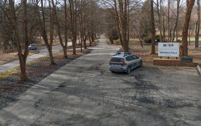 Kontrole ładu i porządku publicznego