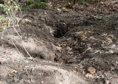 WhatsApp Image 2024-10-01 at 12.49.29