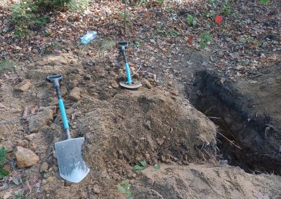 WhatsApp Image 2024-10-01 at 12.50.29