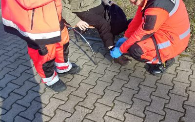 Nieszczęśliwy wypadek seniorki