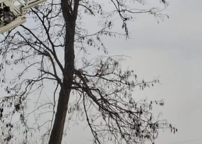 att.6h6gsYT74KzqNeBzTwai6Dms9CXVbRkNWFFlKBz1tys