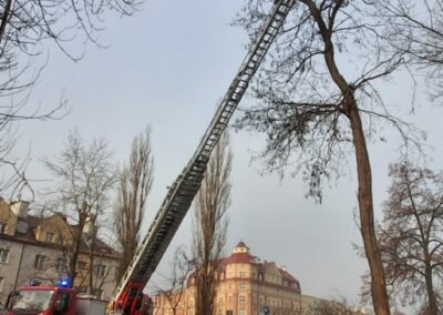 att.SijkggPS1s2hI9DHofUX-Ea8V7VfytQb33m6czm6MHA